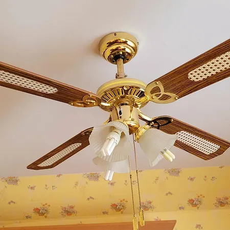 Apartament In Petze